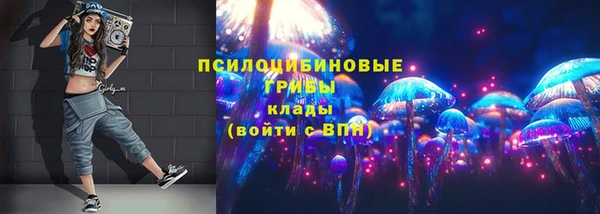 крисы Балахна