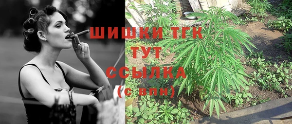 PSILOCYBIN Снежинск