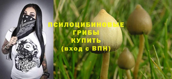 дмт Балабаново